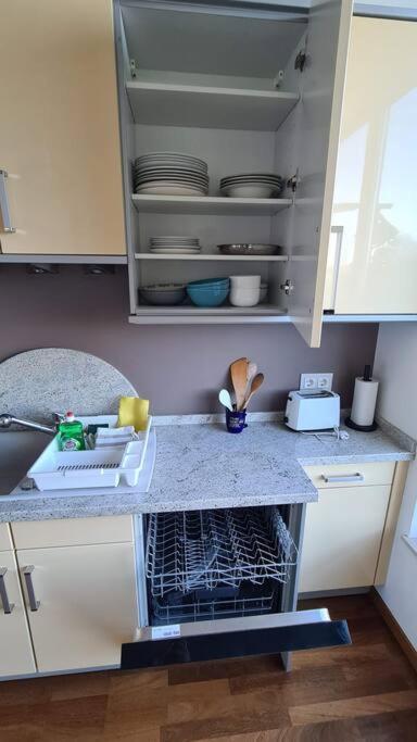 164 M2 Flat With Underground Parking In Lux City